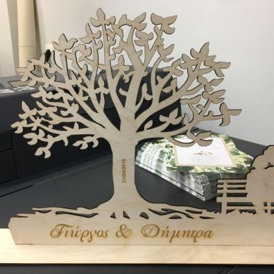 Tsakonitis Laser Epigrafes Kataskeues 12