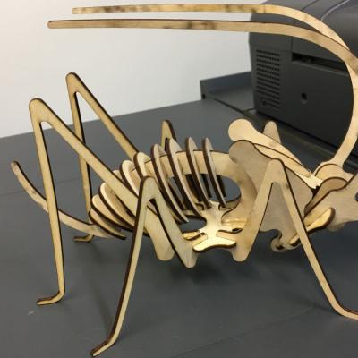 Tsakonitis Laser Epigrafes Kataskeues 17