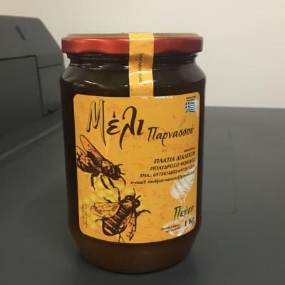 Tsakonitis Stickes 18