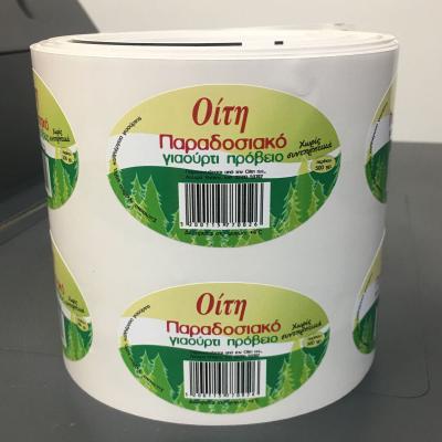 Tsakonitis Stickes 1