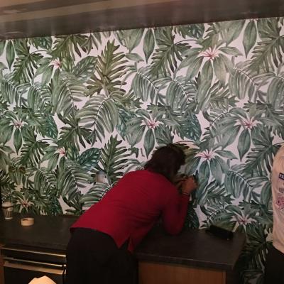 Tsakonitis Tapetsaries 13