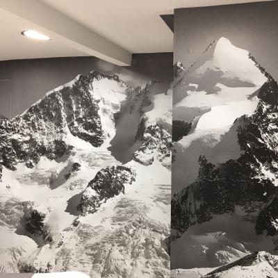 Tsakonitis Tapetsaries 15