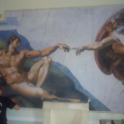 Tsakonitis Tapetsaries 7