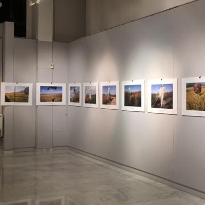 Tsakonitis Canvas Fineart 2