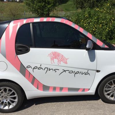 Tsakonitis Car Wrapping 2