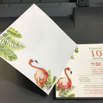 Tsakonitis Prosklititria 5